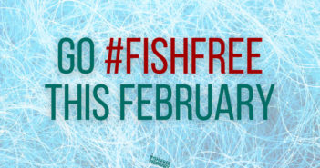 Fish Free February