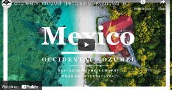 Video: Occidental Cozumel with Pro Dive International and Black Manta Photography Mexico