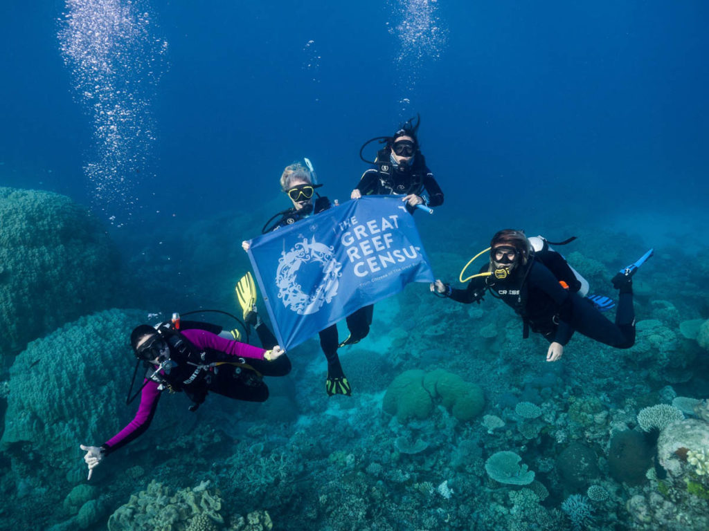 World’s Largest Dive Community Joins Forces to Protect the Gre