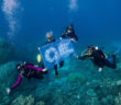 World’s Largest Dive Community Joins Forces to Protect the Gre