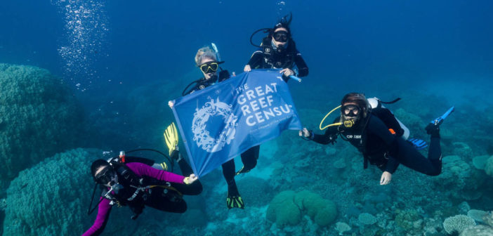 World’s Largest Dive Community Joins Forces to Protect the Gre