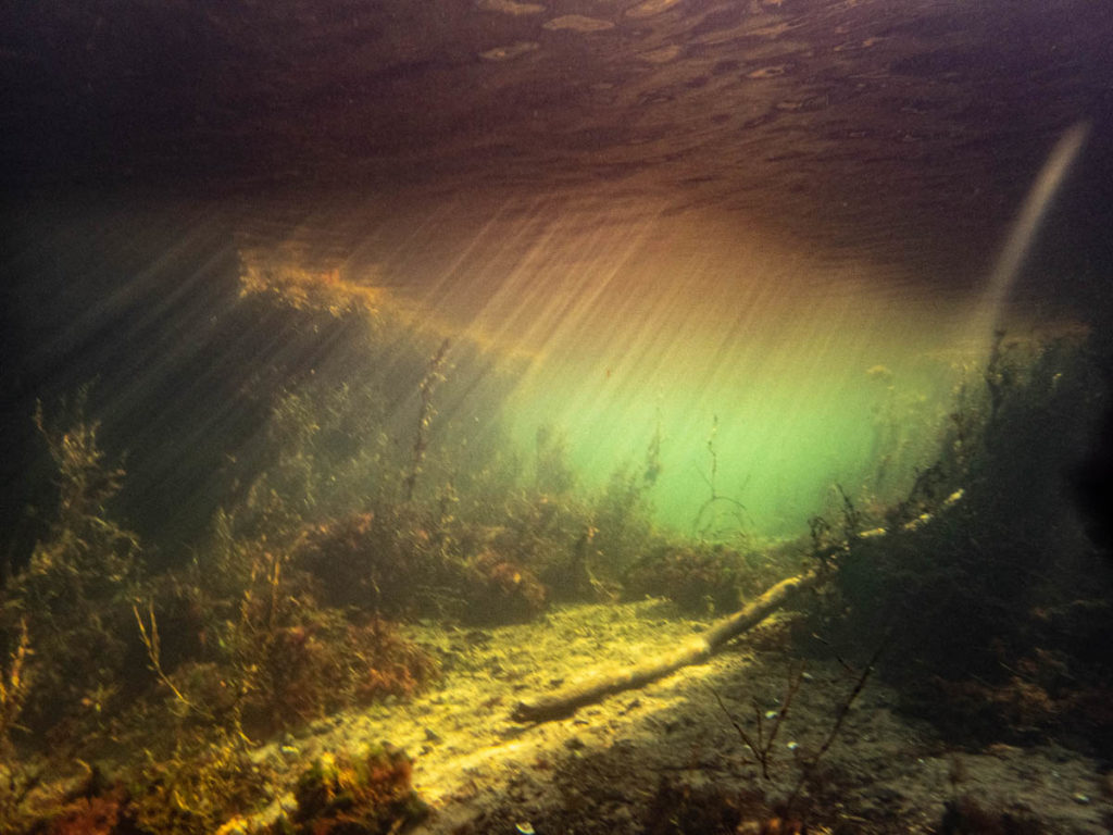 Shearwater Diving Group