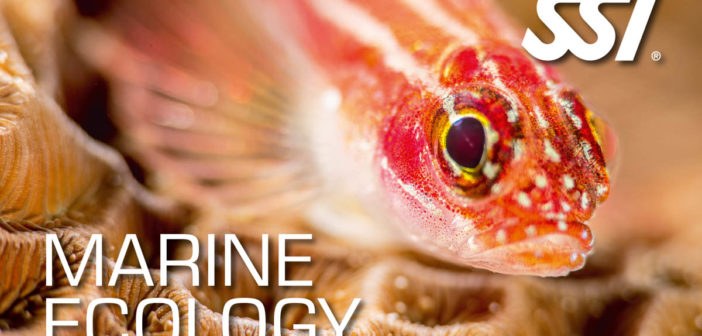 SSI Marine Ecology