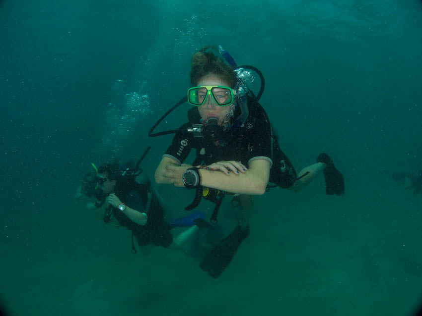 A Beginner Diver's Journey - 