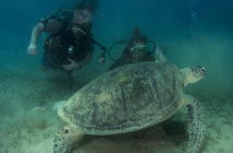 A Beginner Diver's Journey - The Scuba Place