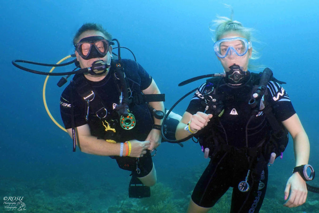 A Beginner Diver's Journey - 