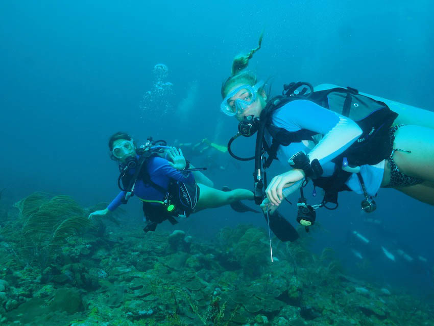 A Beginner Diver's Journey - 