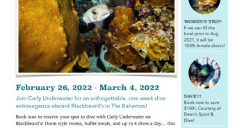 Carly Underwater
