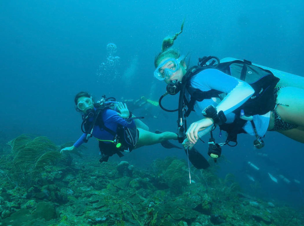 The Scuba Place