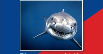 A Win for the Sharks Bite Back