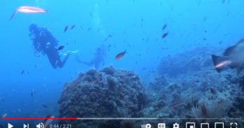 Scuba Diving at Medes Islands, Costa Brava, Spain Costa Brava