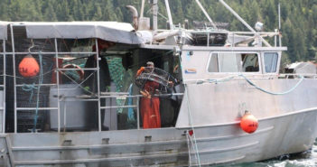 A call To DFO’s Observe, Record, Report Line Leads to Significant Fine for a Commercial Harvester Fisheries