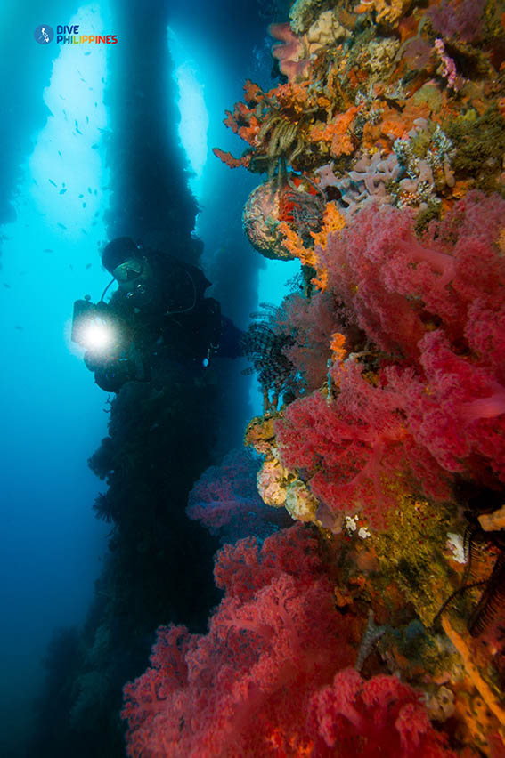Underwater photographer between Ducomi Pier pillars overgrown with colorful sea fans and soft corals