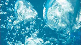 Books: The Physics of Scuba Diving Physics