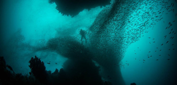 Raja Ampat