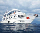 All You Need to Know About Scuba Diving in Thailand