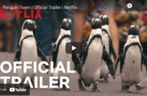 Netflix Penguins