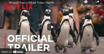 Netflix Penguins