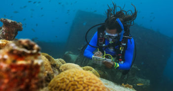 PADI Mobilizes Ocean Community with New PADI AWARE Foundation PADI Conservation