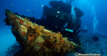 Dive the Mama Viña Wreck with Pro Dive International Pro Dive