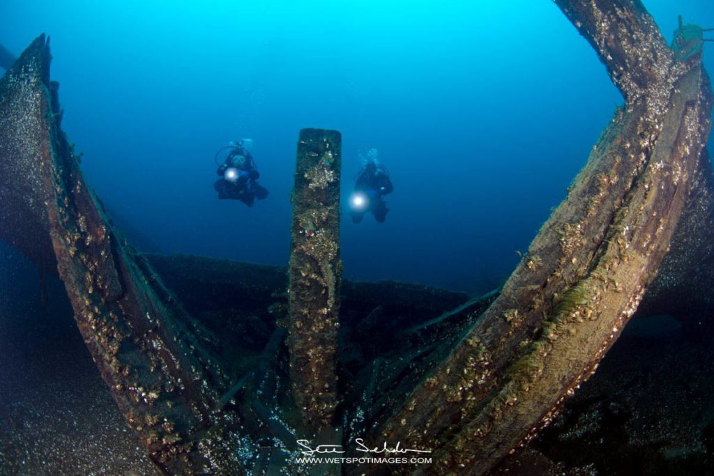 Diving the Arabia