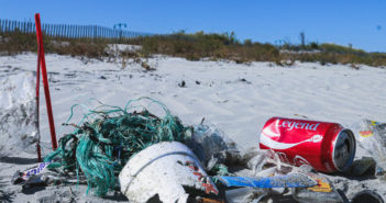 Beach Litter