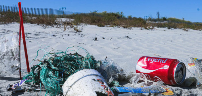 Beach Litter