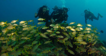 14 Unbeatable Places to Learn to Scuba Dive with your Family – Part 1 Dive Group