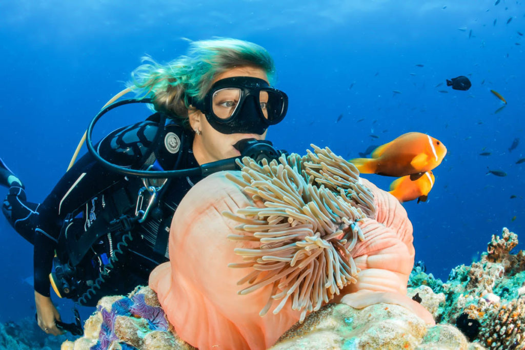 Diver Underwater