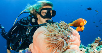The Best Ways to Get Involved with Local Diving Diver Underwater