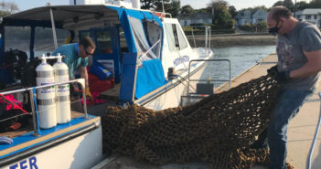 Volunteers Clear Ghost Nets from the SS Epsilon in Falmouth Bay Epsilon Clean Up