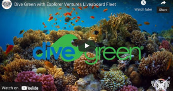 Dive Green with Explorer Ventures Liveaboard Fleet Explorer Ventures