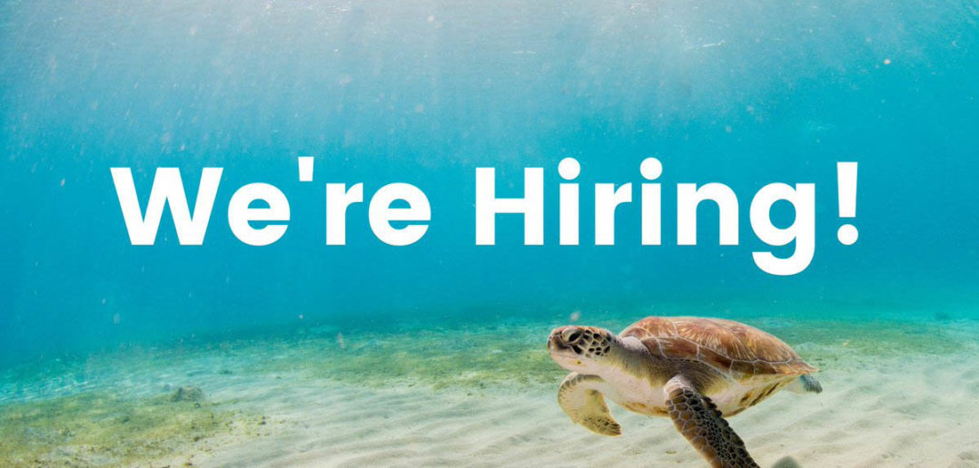 PADI Aware Foundation Are Hiring Accounting Manager The Scuba News