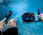 Exploring Underwater Photography: Tips for Capturing the Perfect Shot
