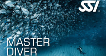 SSI Master Diver