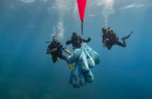 Deep Blue Dive Center Clean Up