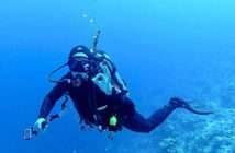 DiveBunnies