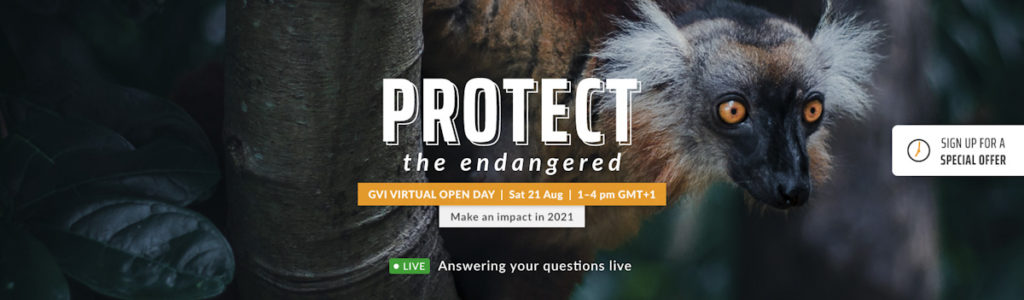 GVI