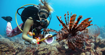 Lionfish - Hunt with Awareness