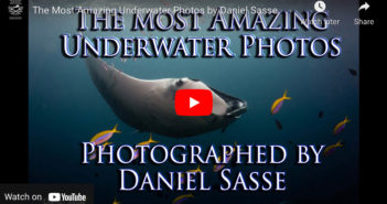 The Most Amazing Underwater Photos by Daniel Sasse Underwater World