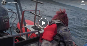 Whale Watching in Newfoundland Whale Watching