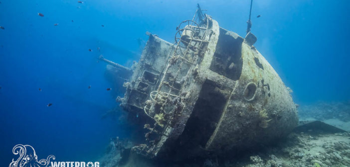 Stern of the Cedar Pride