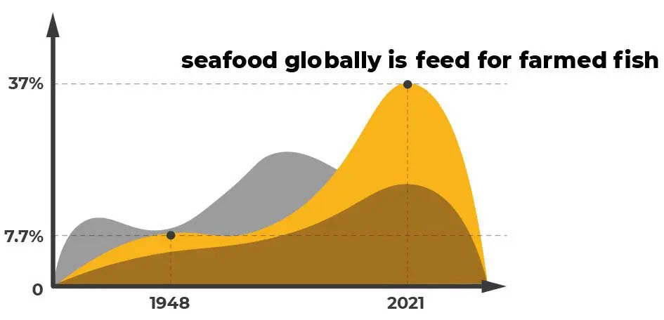 Overfishing