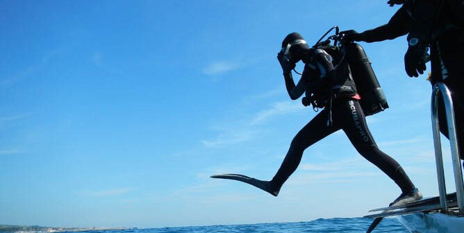 Dive Bunnies