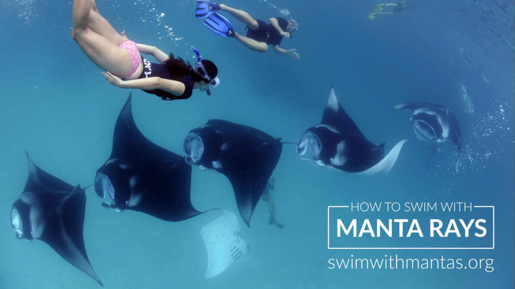 Manta Trust