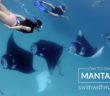 Manta Trust
