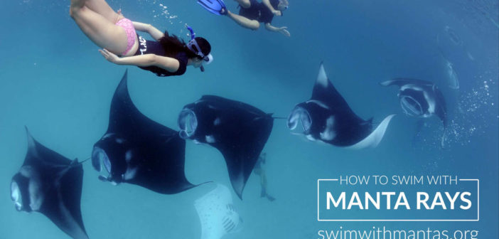 Manta Trust