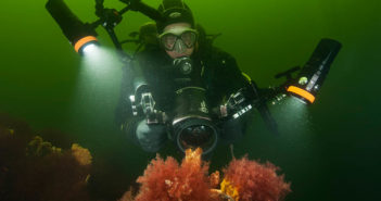How to Maintain Your Dive Torch? Orcatorch