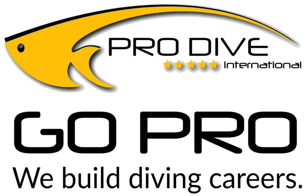Pro Dive