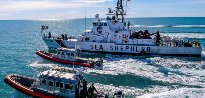 Sea Shepherd